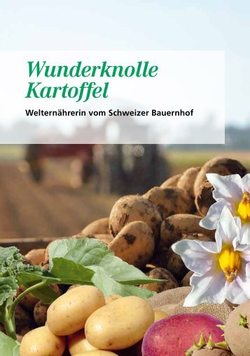 Wunderknolle Kartoffel