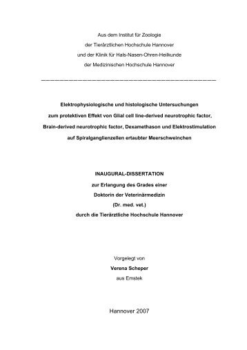 Dokumentvorlage für Diplomarbeiten - Stiftung Tierärztliche ...