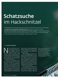 Schatzsuche im Hackschnitzel - Max-Planck-Gesellschaft