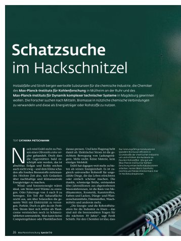 Schatzsuche im Hackschnitzel - Max-Planck-Gesellschaft