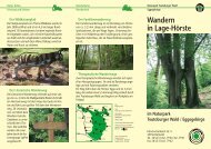 Wandern in Lage-Hörste - Naturpark Teutoburger Wald / Eggegebirge