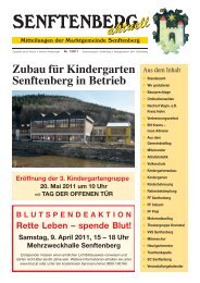 Download: Senftenberg aktuell 1/11
