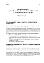 Geoinformationen (digitale Geodaten, Fernerkundung ... - MplusM