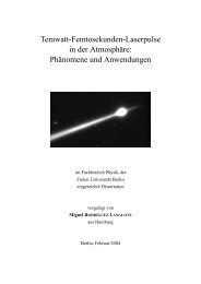 Terawatt-Femtosekunden-Laserpulse in der Atmosphäre - teramobile