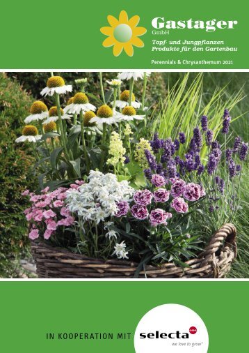selecta Perennials and Chrysanthemum 2021 Gastager