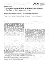 Root-synthesized cytokinin in Arabidopsis is distributed in the shoot ...