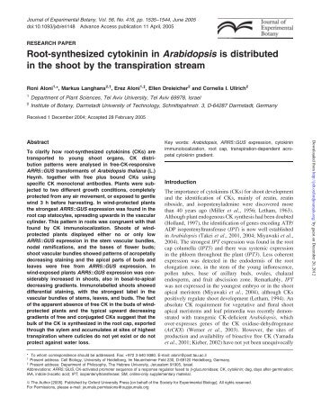 Root-synthesized cytokinin in Arabidopsis is distributed in the shoot ...