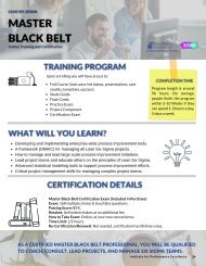 Master Black Belt Course Overview