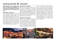 Lüneburg med Celle Julemarked - Tigerrejser
