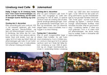 Lüneburg med Celle Julemarked - Tigerrejser