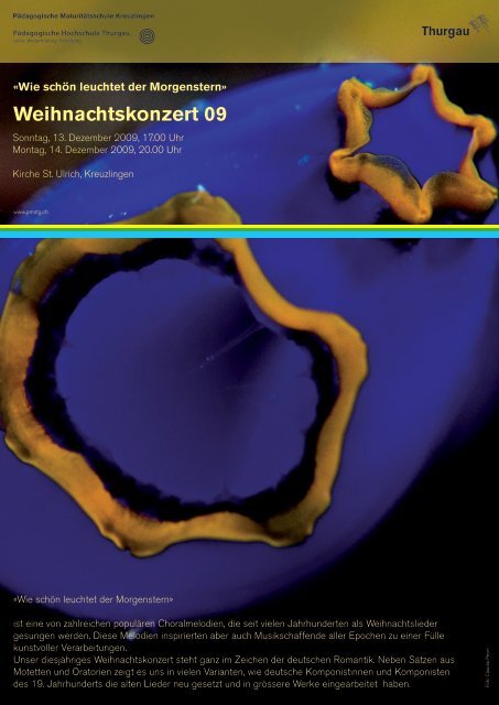 Weihnachtskonzert 09 - Pädagogische Maturitätsschule Kreuzlingen