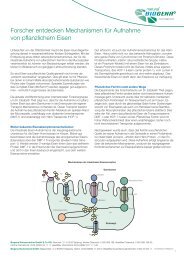 Eisenforschung: Resorptionsmechanismus von ... - Biogena