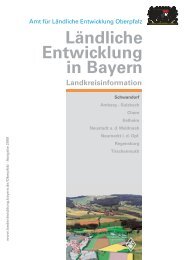 Ländliche Entwicklung in Bayern - Tanja Schweiger