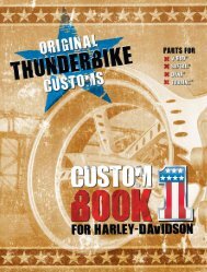 PDF (2,0 MB) - Thunderbike