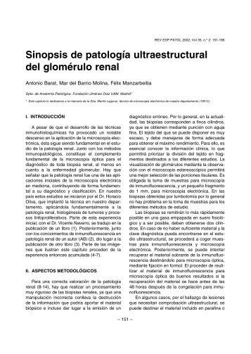 Sinopsis de patología ultraestructural del glomérulo renal