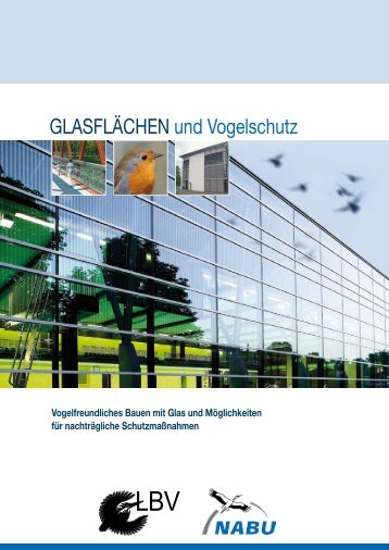 Glasflächen und Vogelschutz - Window collisions