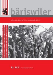 pdf | 3703 KB - Bäriswil