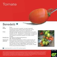 Leaflet Benedetti 2020