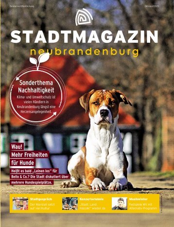 Stadtmagazin Neubrandenburg Oktober 2020