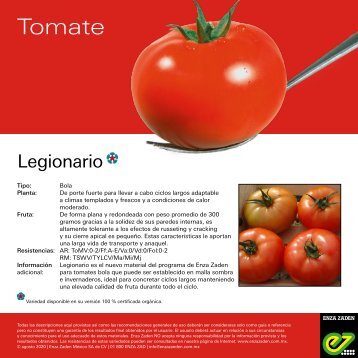 Leaflet Legionario 2020