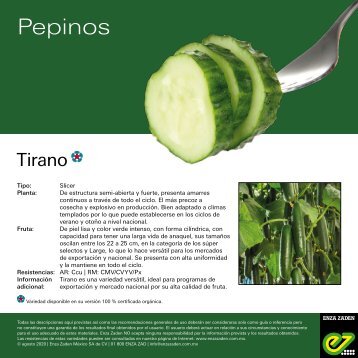 Leaflet Cucumber Tirano