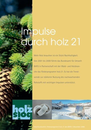 2 - holz 21