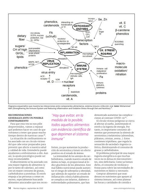 Revista Vegetus nº 37 (Octubre - Diciembre 2020)