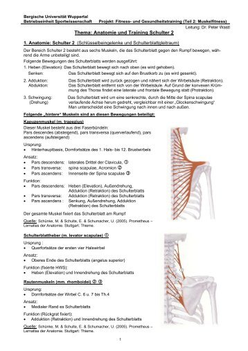 Anatomie und Training Schulter 2 - Fachbereich Sportwissenschaft ...