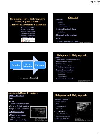 Ilioinguinal Nerve, Iliohypogastric Nerve, Inguinal Canal, TAP