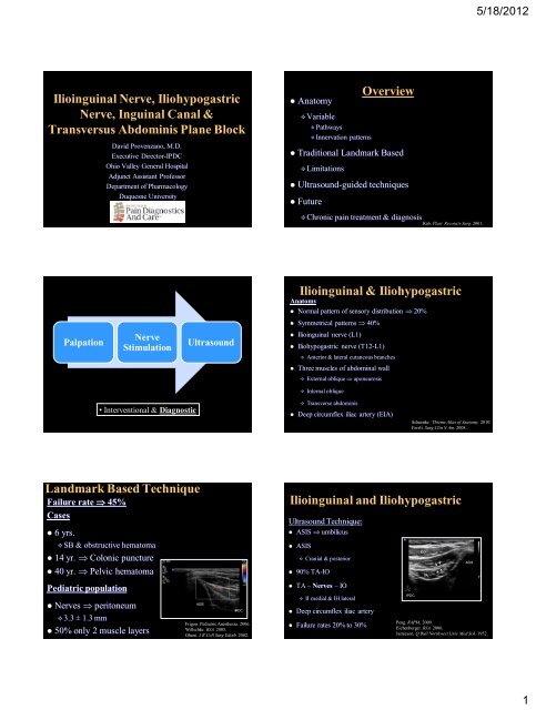 Ilioinguinal Nerve, Iliohypogastric Nerve, Inguinal Canal, TAP