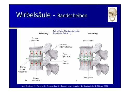 Pause Eis Compression Hochlegen