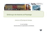 Anatomie und Physiologie der Atemwege - Ambulantes Zentrum für ...