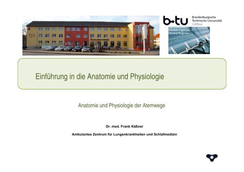 Anatomie und Physiologie der Atemwege - Ambulantes Zentrum für ...