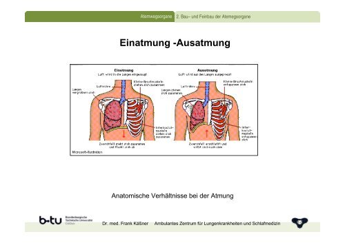 Anatomie und Physiologie der Atemwege - Ambulantes Zentrum für ...