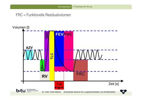 Anatomie und Physiologie der Atemwege - Ambulantes Zentrum für ...