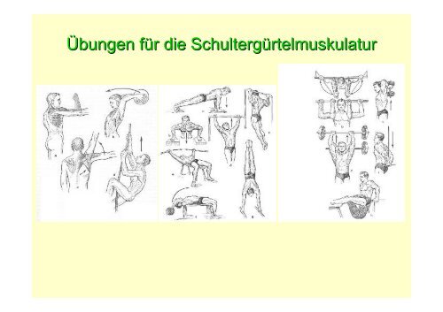 Anatomie des Bewegungsapparates (Skript, Teil II: Funktionelle ...