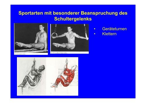 Anatomie des Bewegungsapparates (Skript, Teil II: Funktionelle ...