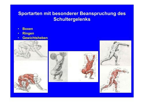 Anatomie des Bewegungsapparates (Skript, Teil II: Funktionelle ...