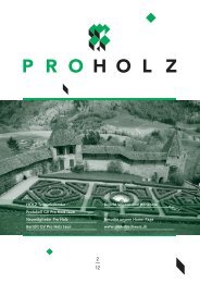 Vereinsheft Ausgabe 2 / 2012 als PDF - Pro Holz Schweiz