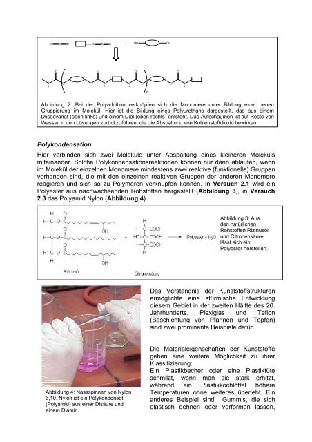 Nachwachsende Rohstoffe: Kohlenhydrate und Fette