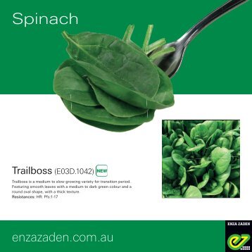Leaflet Spinach Australia 2020