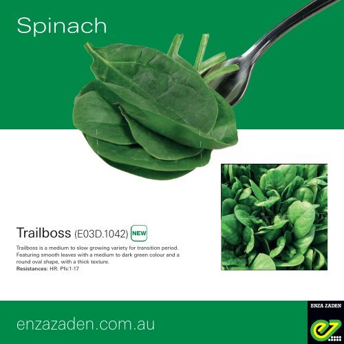 Leaflet Spinach Australia 2020