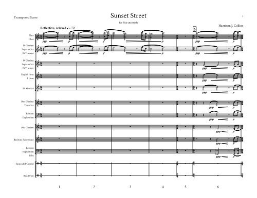 Sunset Street flex score