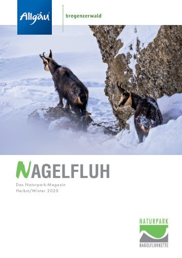 Nagelfluh 2-2020