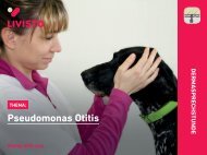 Pseudomonas Otitis