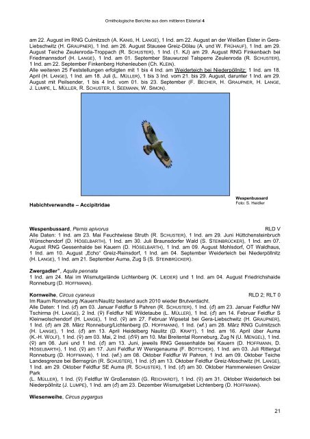 ornithologische berichte aus dem mittleren elstertal - Verein ...