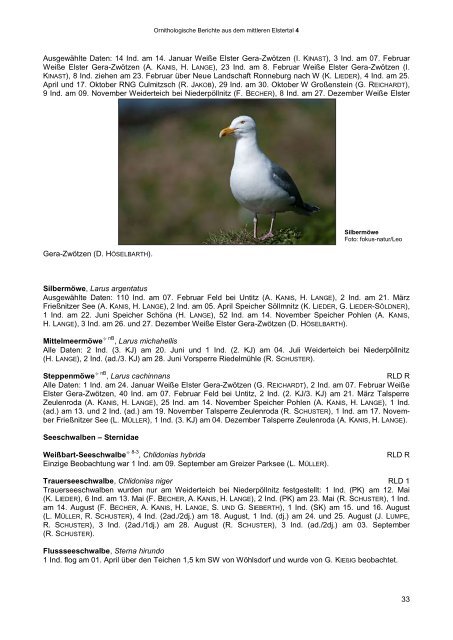 ornithologische berichte aus dem mittleren elstertal - Verein ...