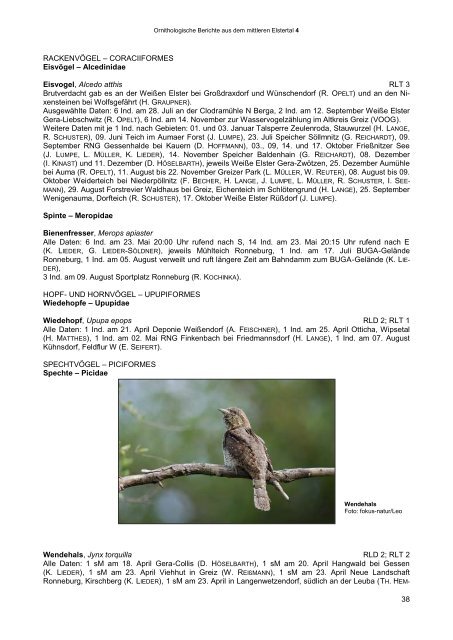 ornithologische berichte aus dem mittleren elstertal - Verein ...