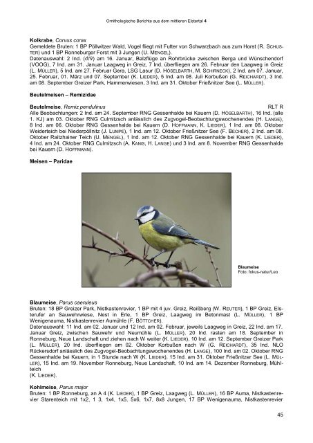 ornithologische berichte aus dem mittleren elstertal - Verein ...