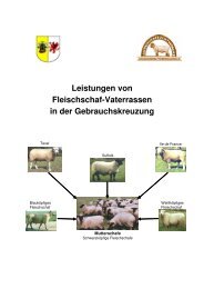 Leistungen von Fleischschaf-Vaterrassen in der Gebrauchskreuzung